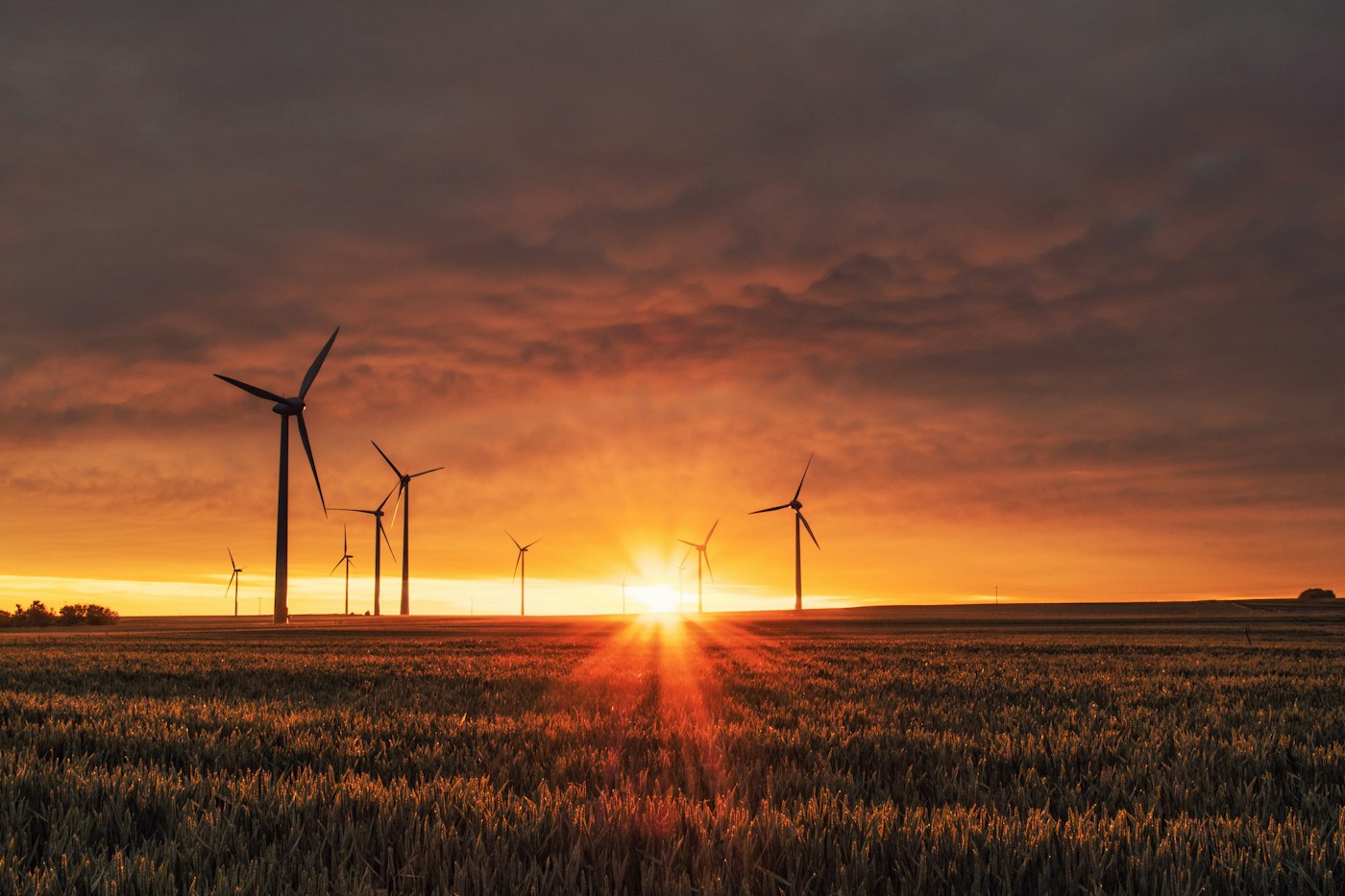 Clean energy field